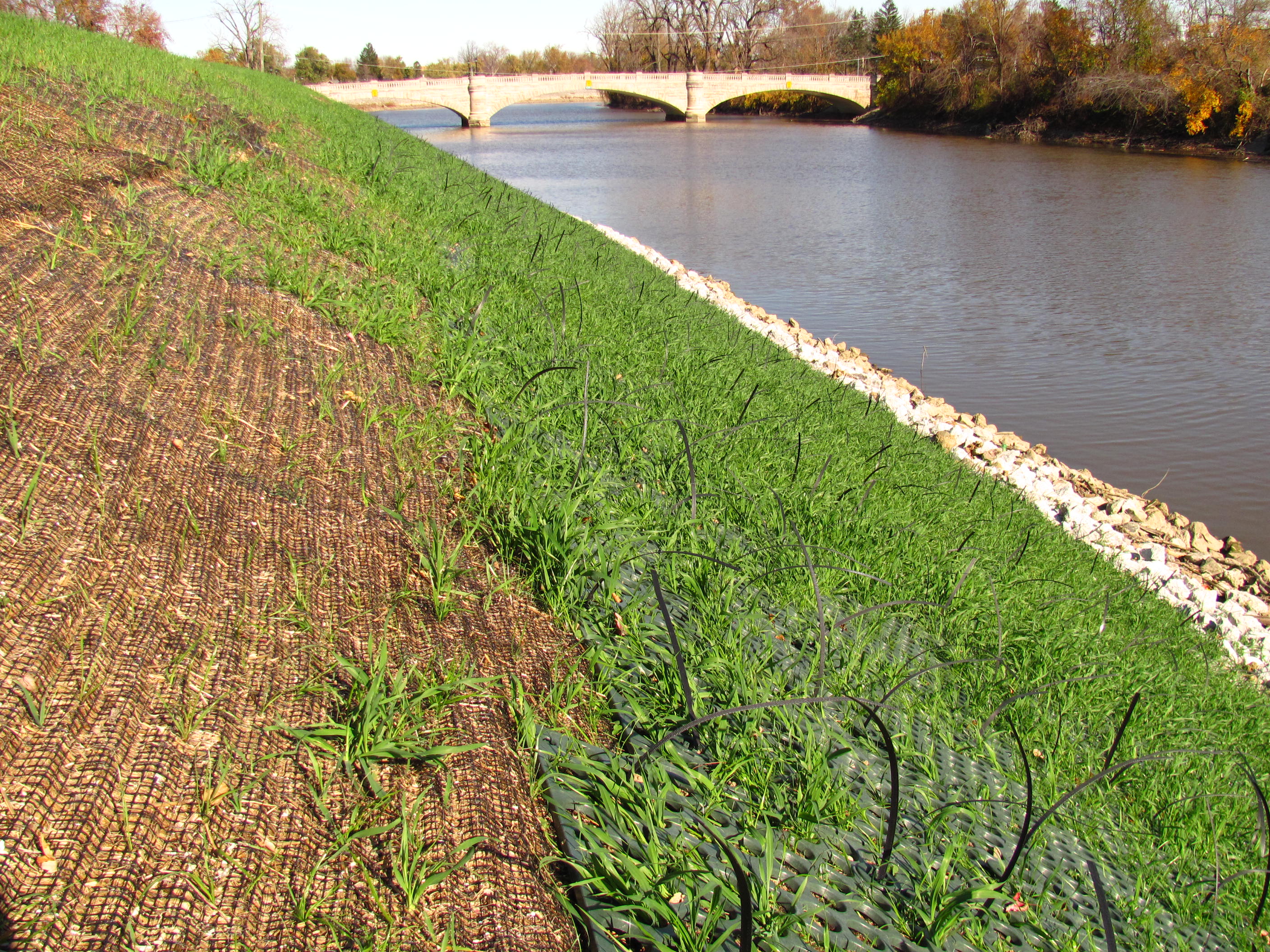 Edgewater levee AFTER vegetation removal & installation of Scour-Stop
